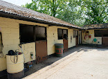Studland Trekking Centre thumb 10